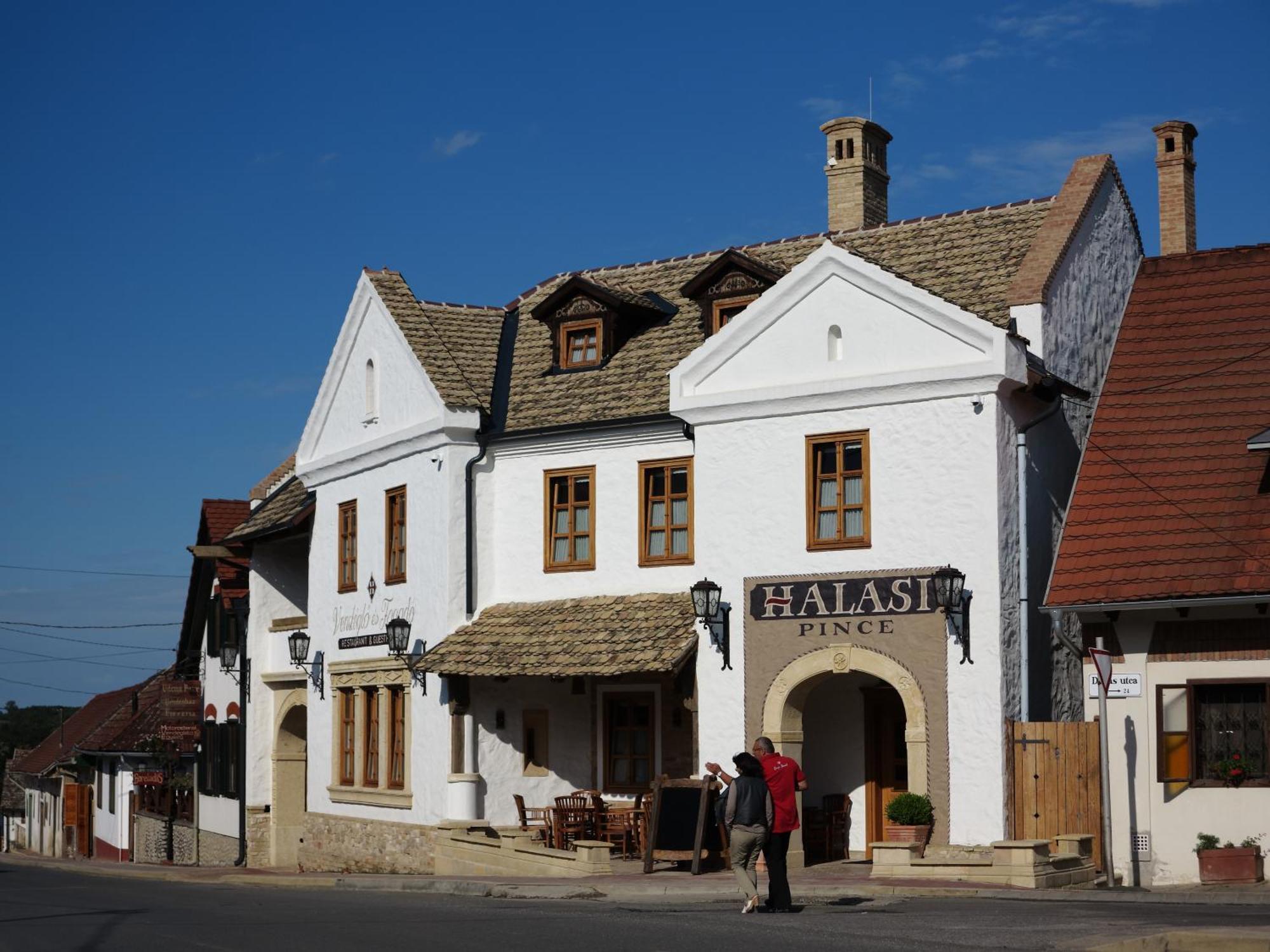 Halasi Pince Panzio Виллань Экстерьер фото